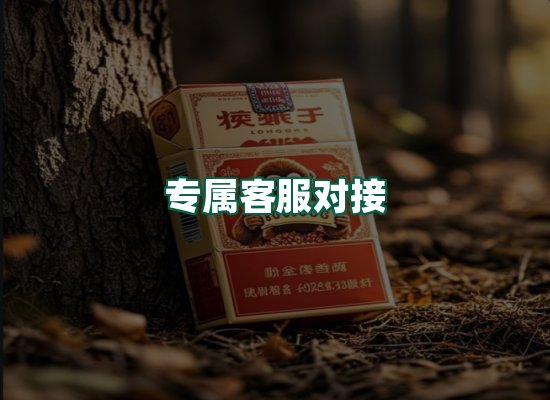 核心优势